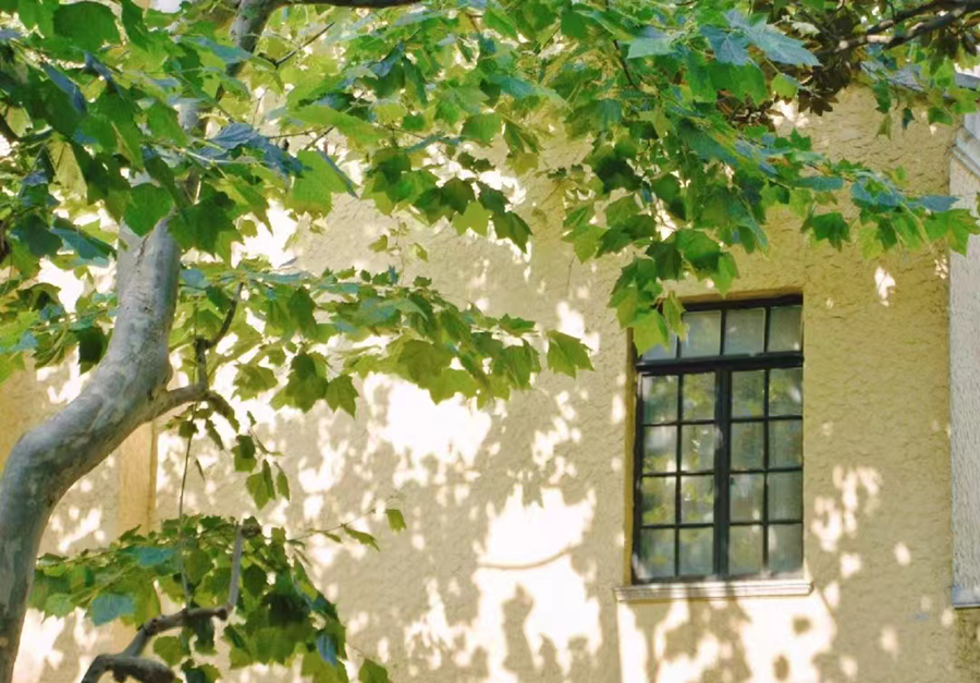 图片1.png 图片1.png