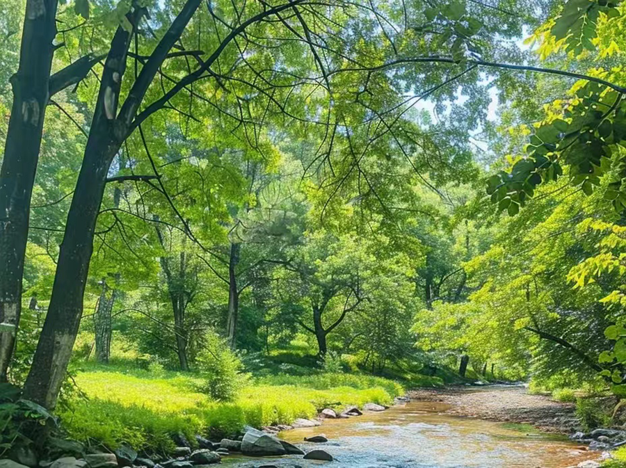 图片2.png 图片2.png