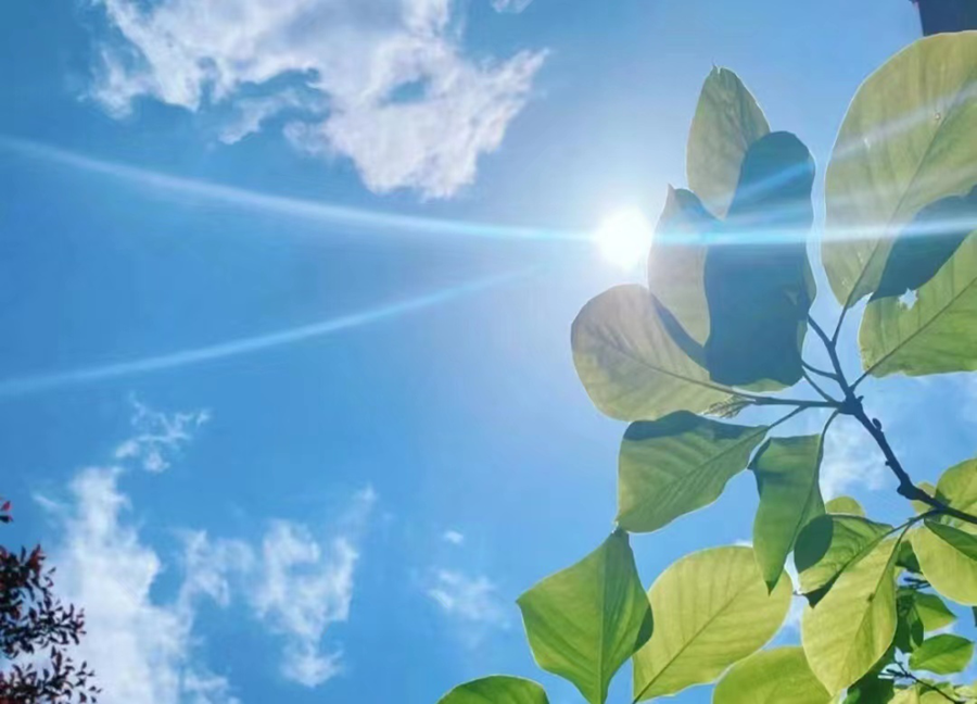 图片3.png 图片3.png